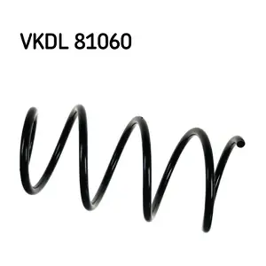 VKDL 81060 SKF