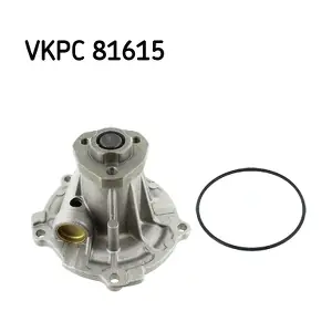 VKPC 81615 SKF