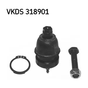 SKF VKDS 318901