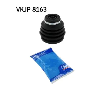 SKF VKJP8163