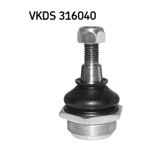 602672 LOTUS
