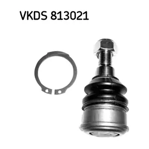 VKDS813021 SKF