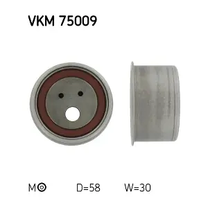 SKF VKM 75009