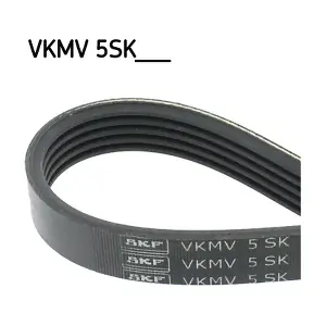 SKF VKMV5SK595