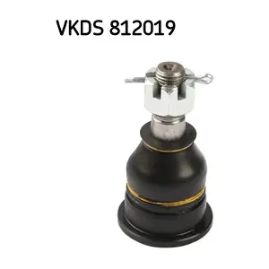 SKF VKDS 812019