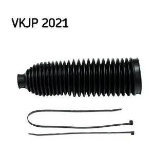VKJP 2021 SKF