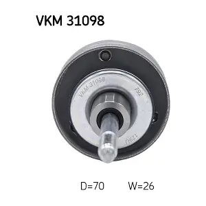 SKF VKM31098