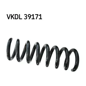 VKDL 39171 SKF