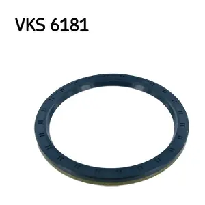 SKF VKS 6181