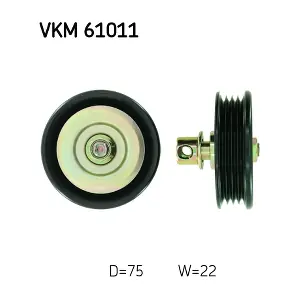 SKF VKM 61011