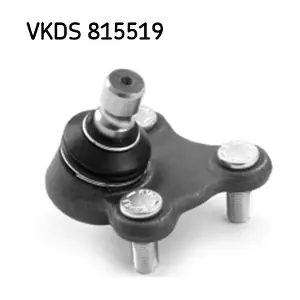 SKF VKDS 815519