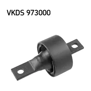 SKF VKDS 973000