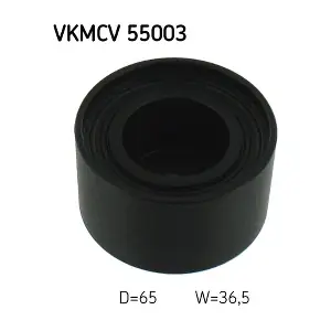 VKMCV 55003 SKF