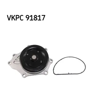 SKF VKPC91817