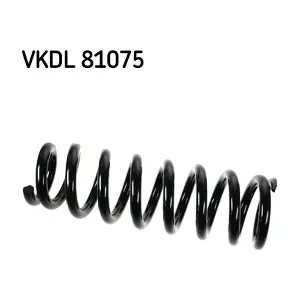 VKDL 81075 SKF