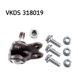 VKDS 318019 SKF