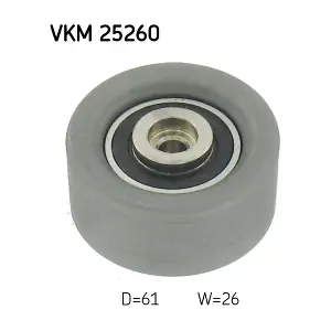 VKM 25260 SKF