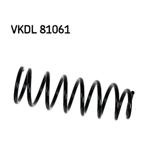 VKDL 81061 SKF