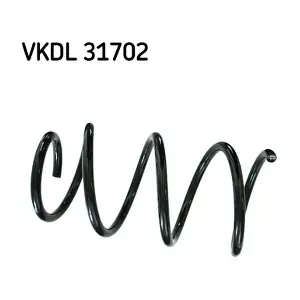 SKF VKDL 31702