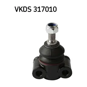 SKF VKDS 317010