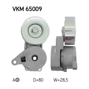 VKM 65009 SKF