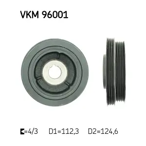 SKF VKM96001