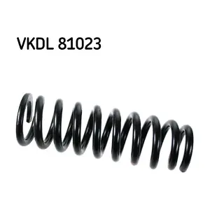 VKDL 81023 SKF