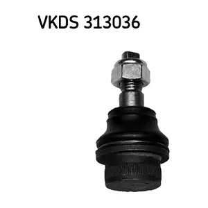 SKF VKDS 313036