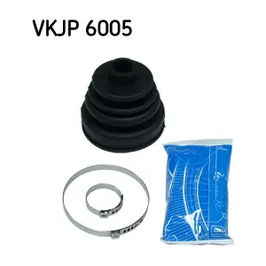 SKF VKJP6005