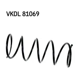 VKDL 81069 SKF