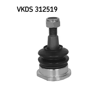 SKF VKDS 312519