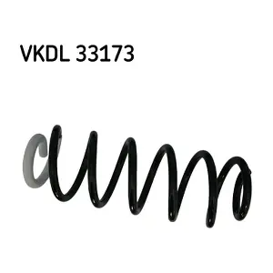 VKDL 33173 SKF