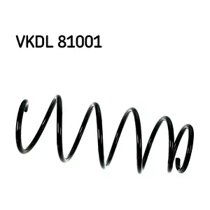 VKDL 81001 SKF