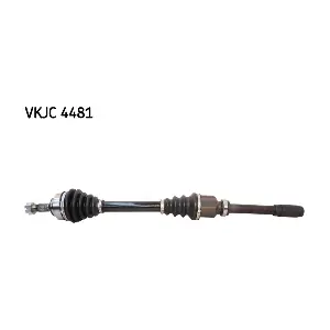 SKF VKJC4481
