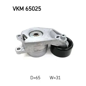 SKF VKM65025