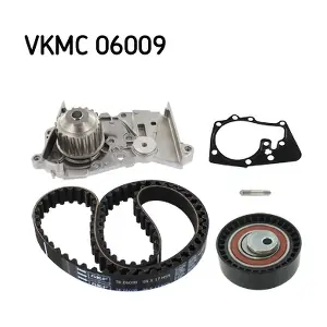 SKF VKMC06009