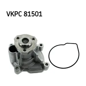 SKF VKPC81501