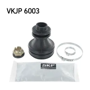 SKF VKJP6003