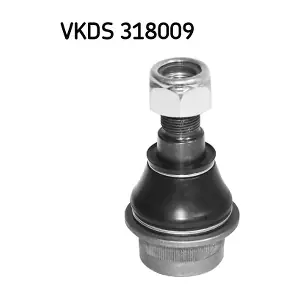SKF VKDS 318009