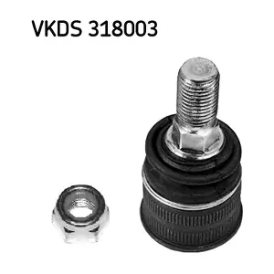 VKDS 318003 SKF