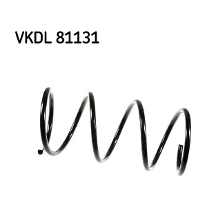 VKDL 81131 SKF