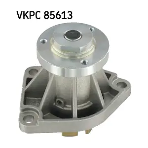 SKF VKPC85613