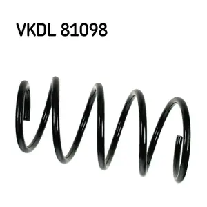 VKDL 81098 SKF