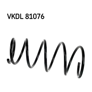 VKDL 81076 SKF