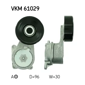 VKM 61029 SKF