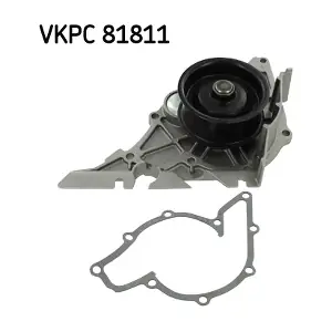 SKF VKPC81811