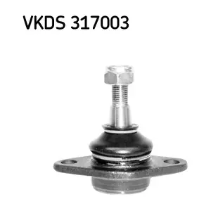 SKF VKDS317003