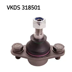 VKDS 318501 SKF