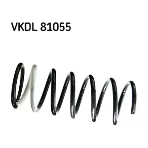 VKDL 81055 SKF