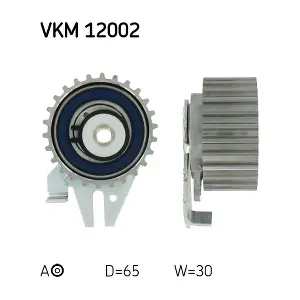 SKF VKM 12002